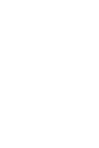 Wild Wings Logo of bird