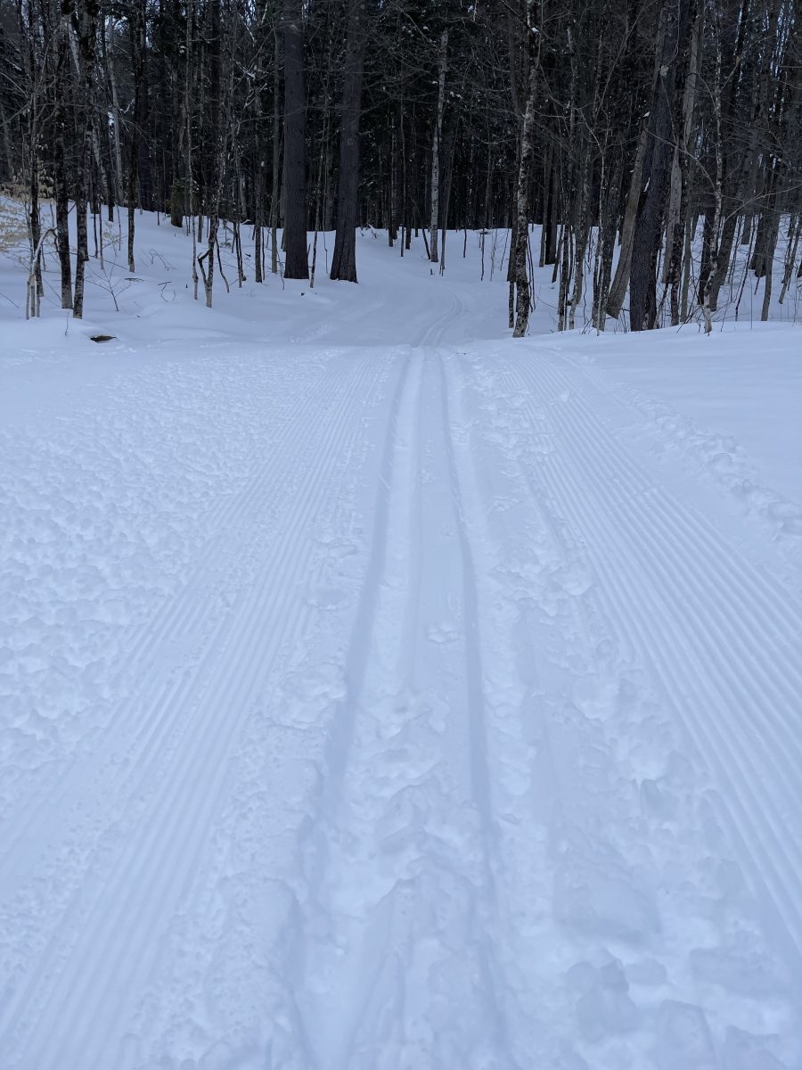 April skiing. Ten km, eleven inches of snow on the ground. - Wild Wings ...